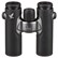 Swarovski CL Companion 8x30 Binoculars - Green - Wild Nature