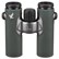 Swarovski CL Companion 8x30 Binoculars - Green - Urban Jungle