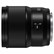 Panasonic LUMIX S 50mm f1.8 Lens