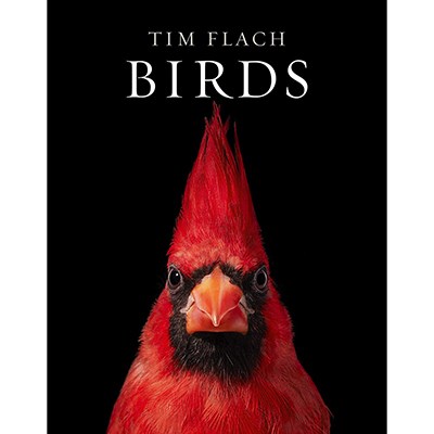 Tim Flach: Birds (Hardback)