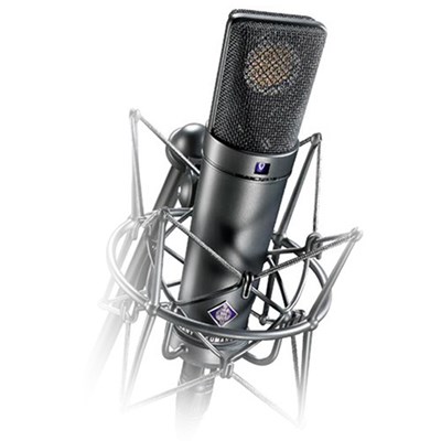 Neumann U 89 i Microphone