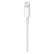 Apple Cable Lightning to USB-A 2M