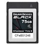 Delkin BLACK 75GB (1725MB/s) Cfexpress Type B Memory Card