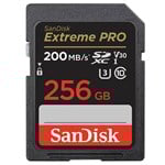 Sandisk SD Memory Card
