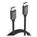 LINQ 8K/60Hz PRO Cable DisplayPort to DisplayPort -2m