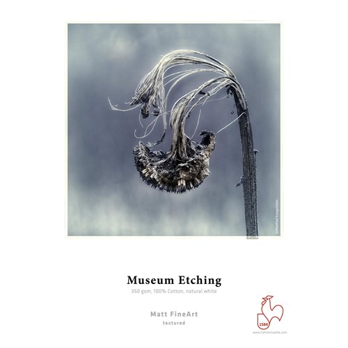 Hahnemuhle Museum Etching 350gsm A4 25 sheets