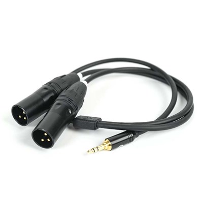 Hollyland 3.5mm TRS to Dual XLR Audio Cable