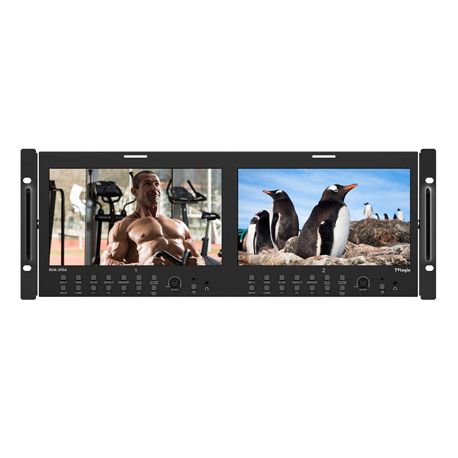Rkm Racks TVLogic RKM-290A Rack Monitor | Wex Photo Video