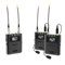 Deity THEOS Digital Wireless 2ch Kit - Global version