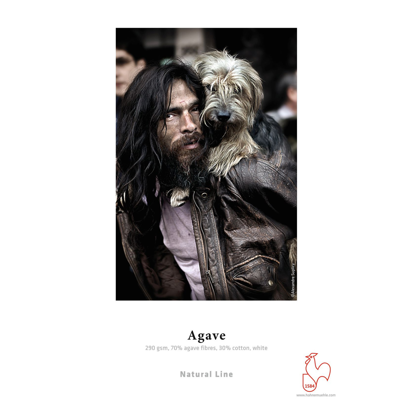 Hahnemuhle Agave 290gsm A2 - 25 Sheets