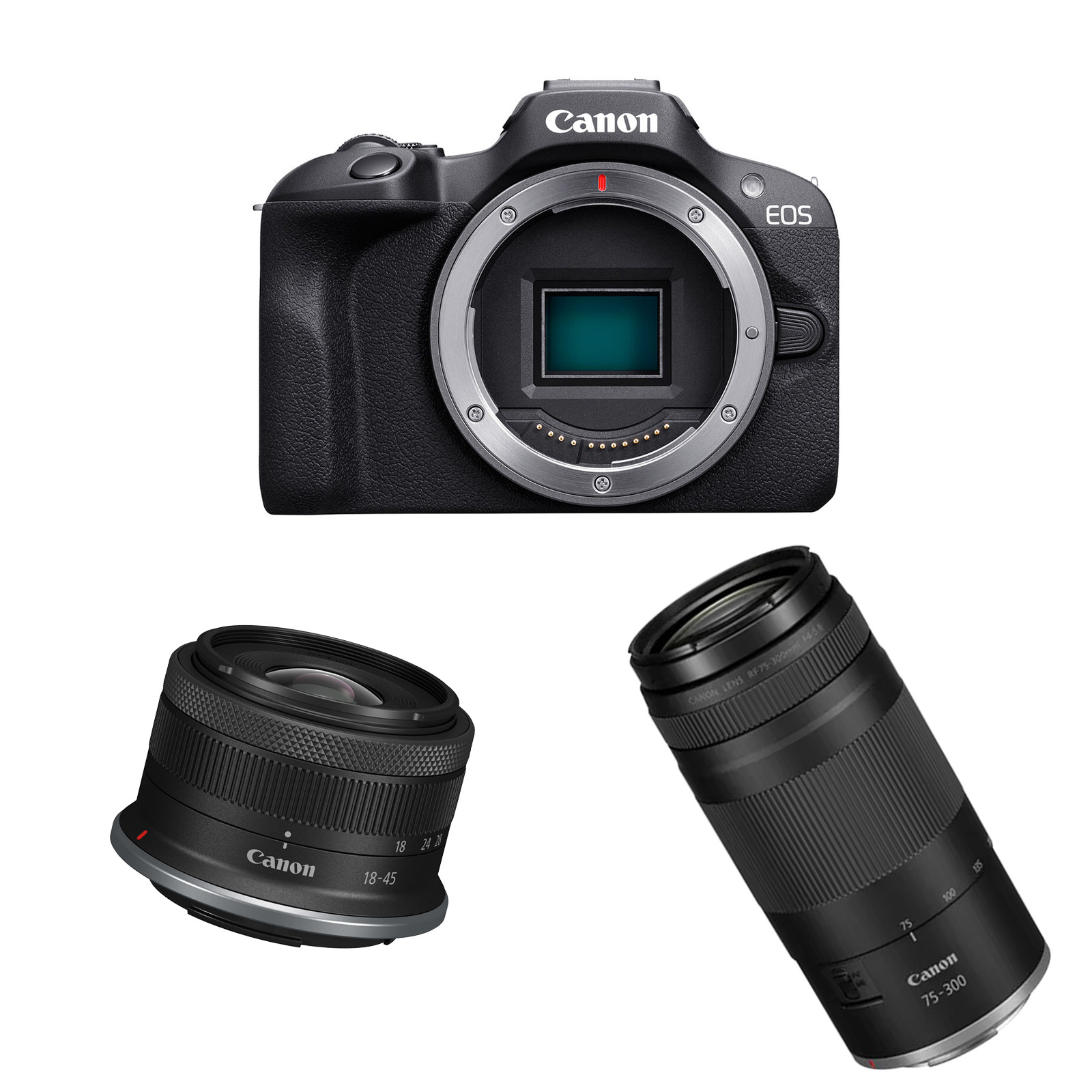 Canon EOS R100 with RF-S 18-45mm f4.5-6.3 IS STM and 75-300mm f4-5.6 Lens