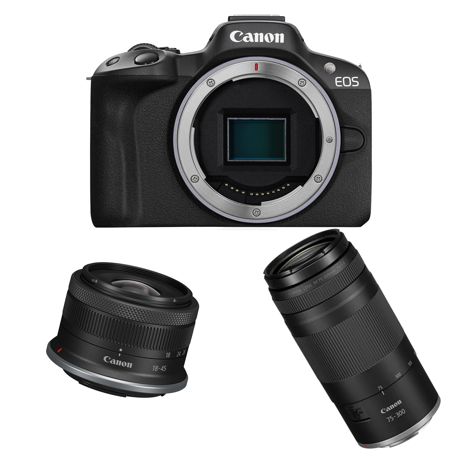 Canon EOS R50 with RF-S 18-45mm f4.5-6.3 IS STM and 75-300mm f4-5.6 Lens