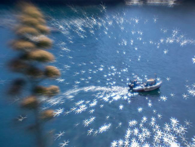 Lensbaby Creative Bokeh