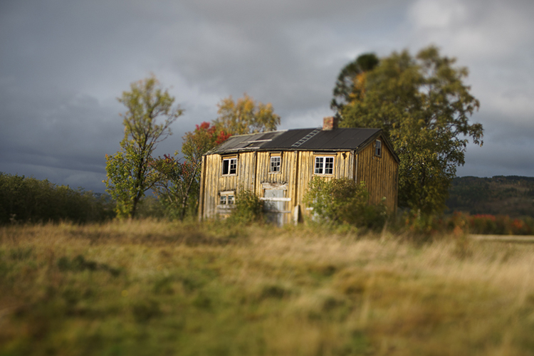 Lensbaby Edge 35 Optic