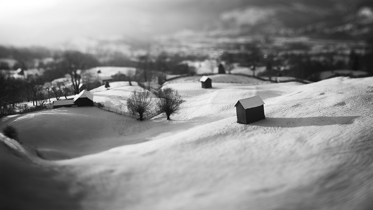 Lensbaby Edge 35 Optic